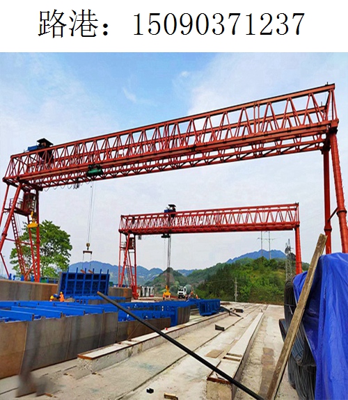1237路港龍門(mén)吊(16)